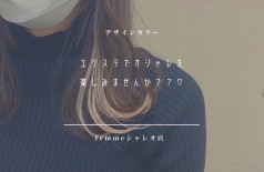 NEWS【シャレオ店でフルヘッドエクステ施術可能に！！！】やってみたかった！の幅が広がります 😳💗