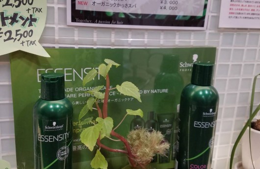 今流行りのオーガニック‼