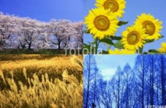 必須？？秋スパ！キレイな髪に☆
