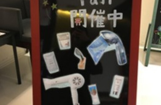 キャンペーンヌ！実施中！！